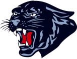 panther 